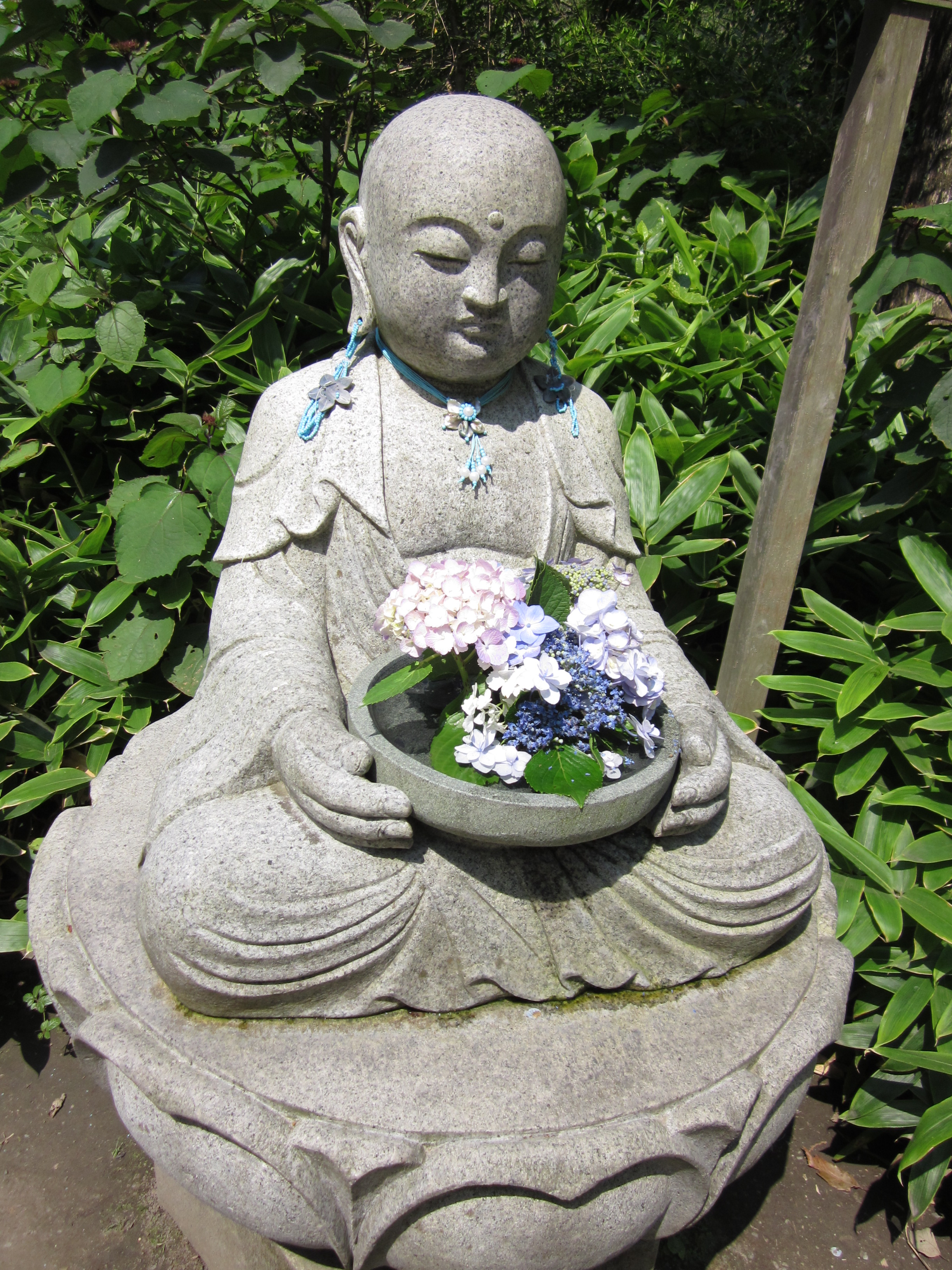 LAMPフラワーエッセンスを使った「瞑想会セラピー」‘18年6月10日（日）のお知らせ